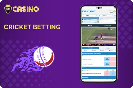 N8 Betting Live Casino app